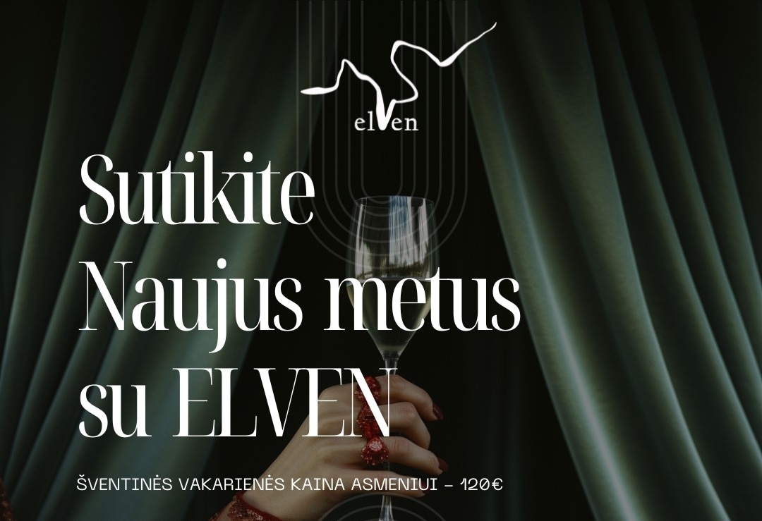 Elven - Naujuju sutikimas Vilniuje